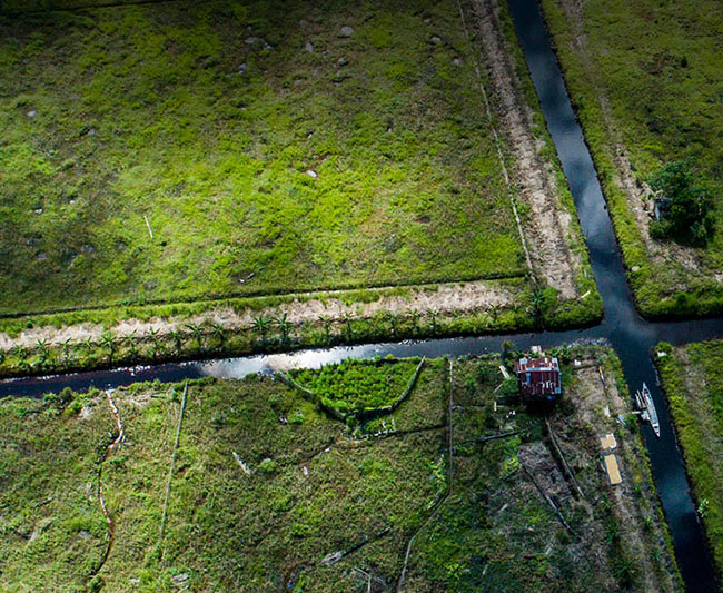 Monitoring the restoration of peatland through the eyes of local residents
